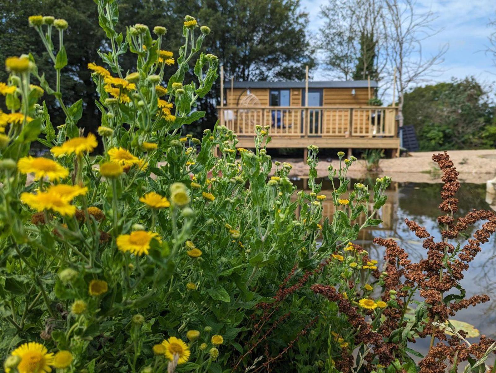 Shedfield Rusty Duck Retreat Shepherds Hut מראה חיצוני תמונה